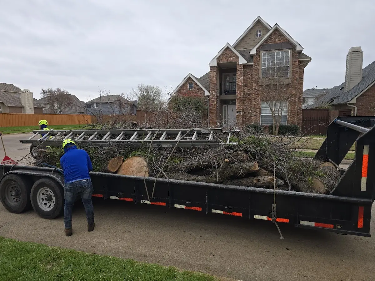 Expert Tree Fertilization with proper safety equipment in Pine Bluff